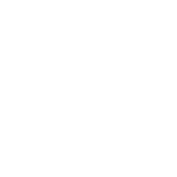 Velzi